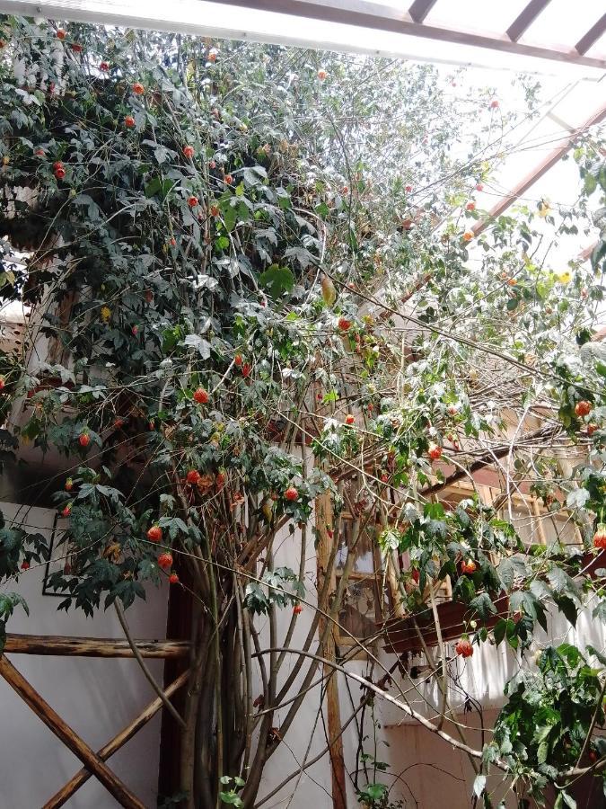 Aparthotel Casa De Mama Cusco - The Treehouse Zewnętrze zdjęcie